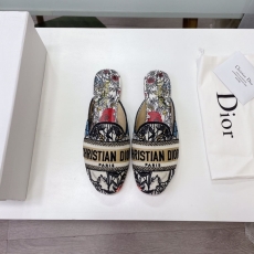 Christian Dior Slippers